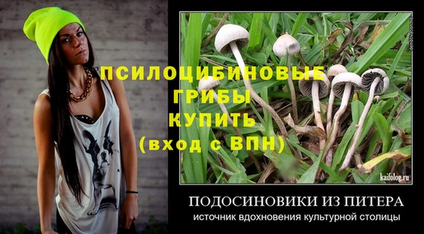 прущая мука Аркадак