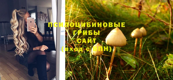а пвп мука Осинники