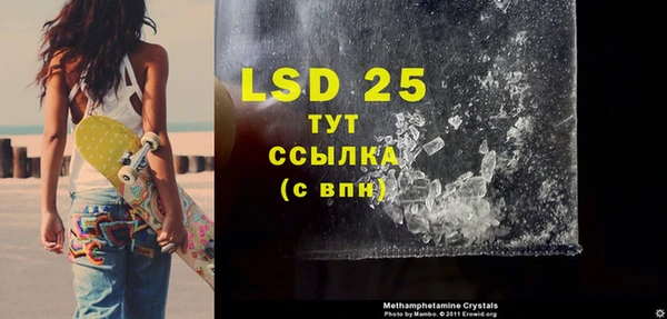 прущие грибы Осташков