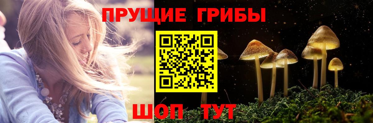 Галлюциногенные грибы Psilocybe  Вход с VPN  Копейск 